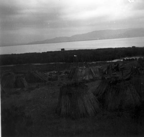 eika image
